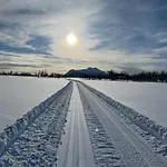 In Scenic Surroundings In Senja *
