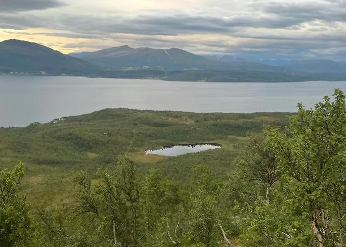 In Scenic Surroundings In Senja 度假居 *