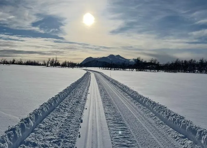 In Scenic Surroundings In Senja *